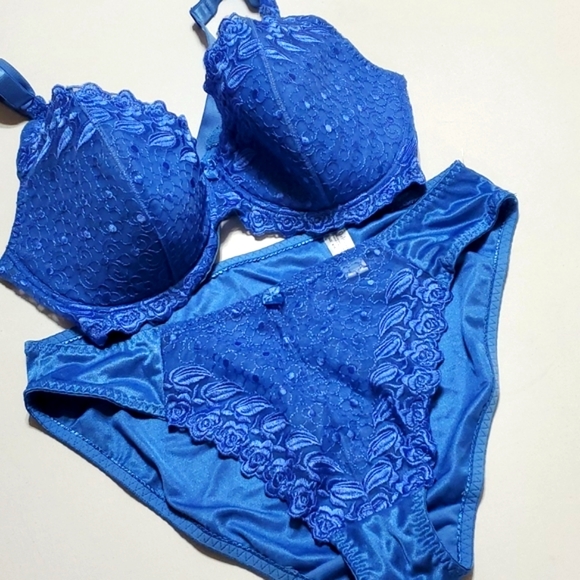 Bra Set Size 40D Blue Lace By Delta Burke - Picture 1 of 15